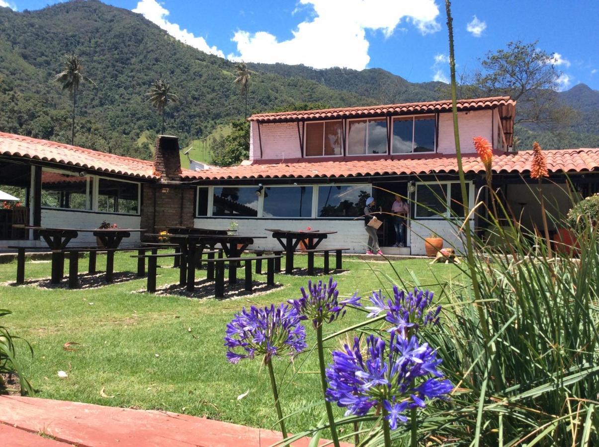 Pensjonat Palmas De Cocora Salento Zewnętrze zdjęcie