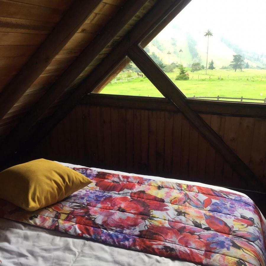 Pensjonat Palmas De Cocora Salento Zewnętrze zdjęcie