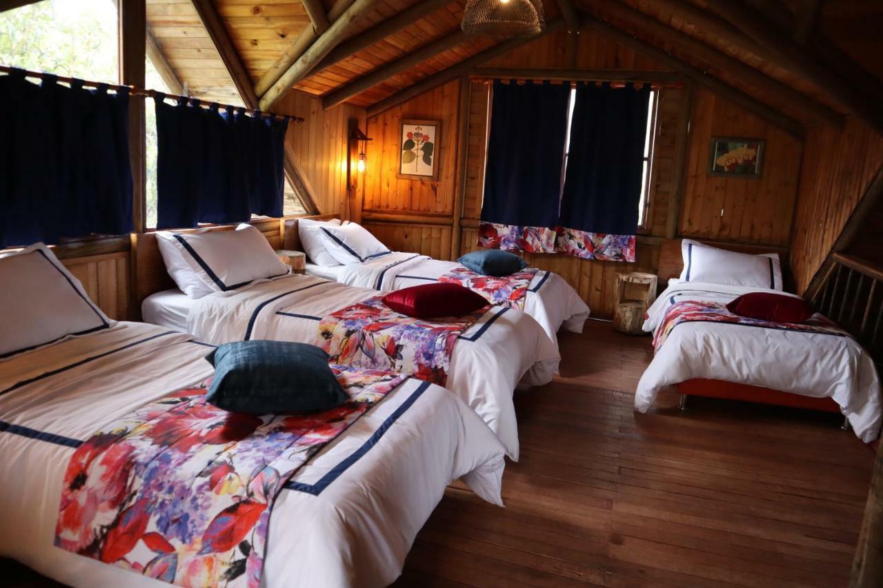 Pensjonat Palmas De Cocora Salento Zewnętrze zdjęcie