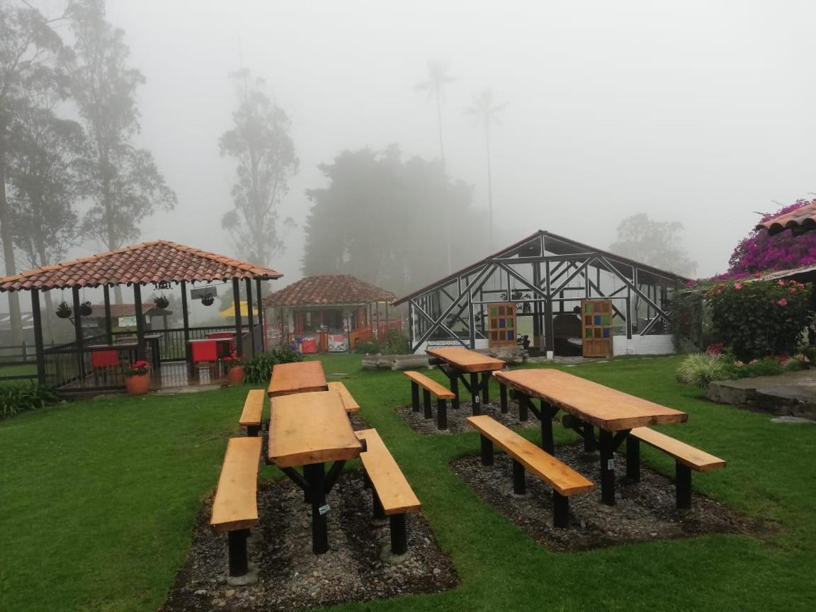 Pensjonat Palmas De Cocora Salento Zewnętrze zdjęcie